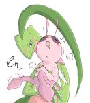  celebi grovyle pokemon pokemon_mystery_dungeon 