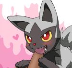 blush canine ears edit human interspecies male oral penis pokemon pokephilia pokã©mon poochyena saliva source_request teeth unknown_artist yellow_eyes