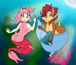  2015 2girls accessory alternate_species amy_rose anthro archie_comics big_breasts breasts brown_body brown_fur brown_hair chipmunk duo eulipotyphlan female fish_tail flower flower_in_hair fur green_eyes ground_squirrel hair hair_accessory hedgehog heroesheaven high_res legless mammal marine merfolk mermaid_tail mermaidification nipples pink_body pink_hair plant rear_view rodent sally_acorn sciurid sega side_boob sonic_(series) sonic_the_hedgehog_(archie) sonic_the_hedgehog_(comics) sonic_the_hedgehog_(series) split_form translucent translucent_hair underwater water 