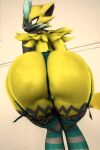  female_only furry furry_female furry_only roussil97 zeraora 