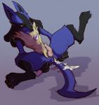 lucario from nintendo