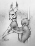  1boy 2017 animal_ears anthro camelid choker ear_piercing ecmajor eyelashes furry furry_male furry_only grin guanaco looking_at_viewer male male_only mammal mammal_humanoid monochrome nipples original original_character original_characters pencil_(artwork) penis pole portrait santiago smile smiling_at_viewer solo_focus solo_male three-quarter_portrait traditional_media_(artwork) 