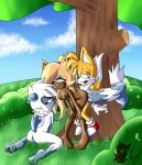  meyk miles_&quot;tails&quot;_prower sega sonic_the_hedgehog_(series) tangle_the_lemur whisper_the_wolf 