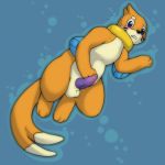  blush buizel erection male mustelid nintendo otter penis pokemon solo testicles tojo_the_thief video_games 