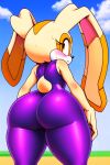 cream the rabbit from sega
