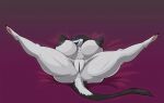 1girl big_ass big_breasts big_nipples black_fur black_hair milf posing seductive sergal spread_legs tail white_skin xeddo xeddo25