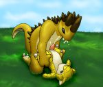  nintendo pokemon sandshrew sandslash 