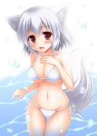 :d animal_ears animal_tail big_breasts bikini blush cleavage cute fang fangs inubashiri_momiji looking_at_viewer medium_breasts neko short_hair side-tie_bikini silver_hair smile tail touhou twitter water wet white_bikini white_hair