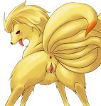  anus ass canine creatures_(company) fire_type_pokemon fox furry game_freak gen_1_pokemon kyukon_(pokemon) nine_tailed_fox ninetales nintendo pokemon pokemon_(anime) pokemon_(creature) pokemon_(game) pokemon_(species) pokemon_firered_and_leafgreen pokemon_frlg pokemon_furry presenting pussy pussy_juice tail vulpine wet wet_pussy wkar 