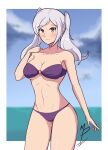 1girl alluring alternate_costume big_breasts bikini female_only fire_emblem fire_emblem_awakening fire_emblem_heroes light-skinned_female light_skin mrpenguin nintendo pin_up purple_bikini purple_swimsuit robin_(fire_emblem) robin_(fire_emblem)_(female) robin_(summer)_(fire_emblem)_(female) source_larger thymrgabbo white_hair