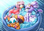  3_girls amy_rose anthro bat bat_wings bendacriss big_ass big_breasts bikini blaze_the_cat blush bubble_butt butt_crack feline green_eyes hedgehog high_res inflatable_pool kiddie_pool large_ass long_eyelashes looking_at_viewer pink_fur purple_fur rouge_the_bat sega sonic_the_hedgehog_(series) swimming_pool swimsuit tail wading_pool yellow_eyes 