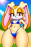 ai_generated anthro beach bedroom_eyes bikini bikini_bottom bikini_top blush breasts cameltoe cream_the_rabbit hands_behind_back lagomorph leporid lop_ears mammal micro_bikini navel novelai orange_eyes outside rabbit rabbit_ears sega shaved_pussy smile sonic_the_hedgehog_(series) thick_thighs thighs wide_hips