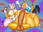 action-coaster amy_rose miles_"tails"_prower rouge_the_bat sega sonic_the_hedgehog_(series) tails