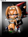 nancher nintendo sega shadow_the_hedgehog sonic_the_hedgehog_(series) tikal_the_echidna