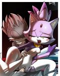 blaze_the_cat nancher nintendo sega sonic_the_hedgehog_(series) vaginal