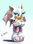  euroland nintendo rouge_the_bat sega sonic sonic_the_hedgehog_(series) tagme 