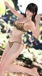 nanami (doa) from dead or alive