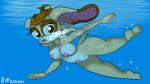 1girl air_bubbles anthro barefoot breasts brown_eyes bubbles feet female furry huge_breasts looking_at_viewer mature_female milf navel nipples nude open_mouth pussy rabbit sega skinny_dipping solo sonic_(series) sonic_the_hedgehog_(series) swimming tagme the1stmoyatia underwater vanilla_the_rabbit water