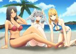 3_girls absurd_res ahoge alluring ass beach between_legs big_breasts bikini black_hair blonde_hair blue_eyes blush breasts brown_eyes cleavage day fiora_(xenoblade) green_eyes hair_ornament hand_between_legs hand_up head_wings high_res kneel looking_at_viewer medium_breasts melia_antiqua multiple_girls outside palm_tree sharla_(xenoblade) silver_hair sitting smile swimsuit tree water white_wings wings xenoblade_(series) xenoblade_chronicles_(series) xenoblade_chronicles_1 zibundazenbu