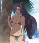 1girl 1girl 1girl alluring athletic_female beach bikini blue_eyes breasts cleavage female_abs female_only fit_female purple_eyes r3dfive shantae shantae_(character) smooth_skin