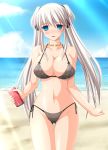 1girl bikini blue_eyes breasts female huge_breasts kafu mabinogi nao nao_(mabinogi) solo swimsuit