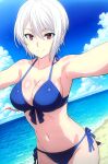 1girl accurate_art_style alluring bare_legs beach big_breasts bikini blue_sky cleavage magenta_eyes mastabayter nakiri_alice ocean shokugeki_no_souma silver_hair