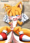 1boy anthro anthro_only bbmbbf cum cumshot ejaculation fox male male_only miles_"tails"_prower mobius_unleashed palcomix penis pietro's_secret_club sega sonic_(series) sonic_the_hedgehog_(series) tagme tails tongue_out