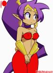 1girl big_breasts blue_eyes blush bouncing_breasts breasts dark-skinned_female dark_skin darkprincess04_(artist) earrings flashing gif gif jewelry navel nipples pointy_ears ponytail pubic_hair purple_hair pussy shantae shantae_(character) thighs wide_hips