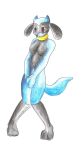 pitch-black-crow pokemon riolu