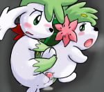  pokemon shaymin shaymin_sky_forme tagme 