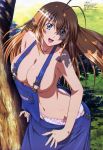 ikkitousen sonsaku_hakufu tagme