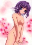 clannad ryou_fujibayashi tagme