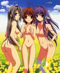 clannad kyou_fujibayashi nagisa_furukawa ryou_fujibayashi tomoyo_sakagami