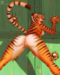 1girl anthro anus ass breast dreamworks furry hacatiko kung_fu_panda looking_at_viewer master_tigress nipple nude pussy sideboob tagme tigress