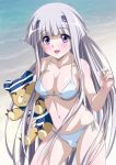  1girl beach bikini denji_saboten female inia_sestina long_hair muvluv muvluv_alternative muvluv_total_eclipse purple_eyes silver_hair solo stuffed_animal stuffed_toy swimsuit teddy_bear 