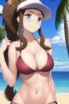 1girl alluring beach bikini blue_eyes blue_sky breasts brown_hair cleavage creatures_(company) female_protagonist_(pokemon_bw2) game_freak hilda_(pokemon) humans_of_pokemon light-skinned_female nintendo ocean pokemon pokemon_(anime) pokemon_(game) pokemon_black_2_&_white_2 pokemon_black_and_white pokemon_bw pokemon_bw2 porkyman touko_(pokemon) white_(pokemon) zengai