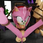 amy_rose bondage sega smpthehedgehog sonic tagme whisper_the_wolf