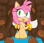 amy_rose bbc dark-skinned_male dark_skin edit excito interracial nude sonic_(series) sonic_the_hedgehog_(series) water