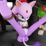 blaze_the_cat bondage cosmo_the_seedrian sega smpthehedgehog sonic tagme