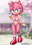 amy rose from mobius unleashed by bbmbbf