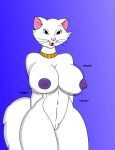 breasts cat duchess_(the_aristocats) lucedo vulva