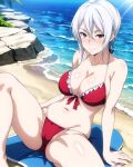 1girl alluring beach big_breasts bikini cleavage cookiefudge magenta_eyes nakiri_alice ocean shokugeki_no_souma silver_hair