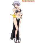 1girl alternate_costume bleach grey_eyes kotetsu_isane reit short_hair silver_hair slave_leia_(cosplay) tagme white_background