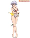  1girl bleach grey_eyes kotetsu_isane one-piece_swimsuit reit short_hair silver_hair swimsuit sword tagme white_background 