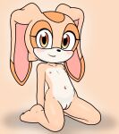 1girl anthro anthro_only cream_the_rabbit cub flat_chested furry genitals high_res lagomorph leporid looking_at_viewer m0rt1337 mammal nipples nude pussy rabbit sega sitting smile sonic_the_hedgehog_(series) young