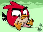  1boy anger_vein angry_birds avian male penis porkyman red_(angry_birds) sitting 