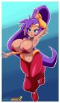 1girl big_breasts blue_eyes earrings female_protagonist ichduhernz ponytail purple_hair shantae shantae_(character) tagme tiara wayforward