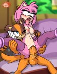 1futa 1girl ahegao amy_rose futanari_on_female futanari_with_female girl_on_top irregular_fetishes penis reverse_cowgirl_position sega sonic_boom sonic_the_hedgehog_(series) spread_legs sticks_the_jungle_badger tagme tongue tongue_out vaginal