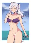 1girl alluring alternate_costume bare_legs big_breasts bikini bikini_top_only female_only fire_emblem fire_emblem_awakening fire_emblem_heroes light-skinned_female light_skin mrpenguin naked_from_the_waist_down nintendo pin_up purple_bikini purple_swimsuit pussy robin_(fire_emblem) robin_(fire_emblem)_(female) robin_(summer)_(fire_emblem)_(female) source_larger thymrgabbo white_hair