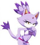 1girl 1girl accessory anthro blaze_the_cat clothed clothing dipstick_tail domestic_cat eyelashes felid feline felis forehead_gem fur hair hair_accessory hair_tie high_res mammal multicolored_tail purple_body purple_fur purple_hair scittykitty sega sonic_the_hedgehog_(series) swimwear yellow_eyes